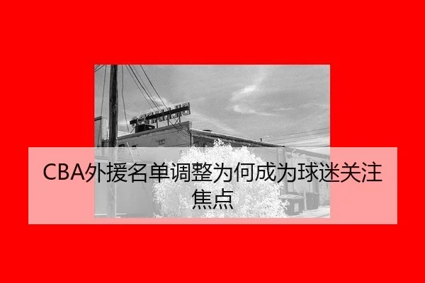 CBA外援名单调整为何成为球迷关注焦点